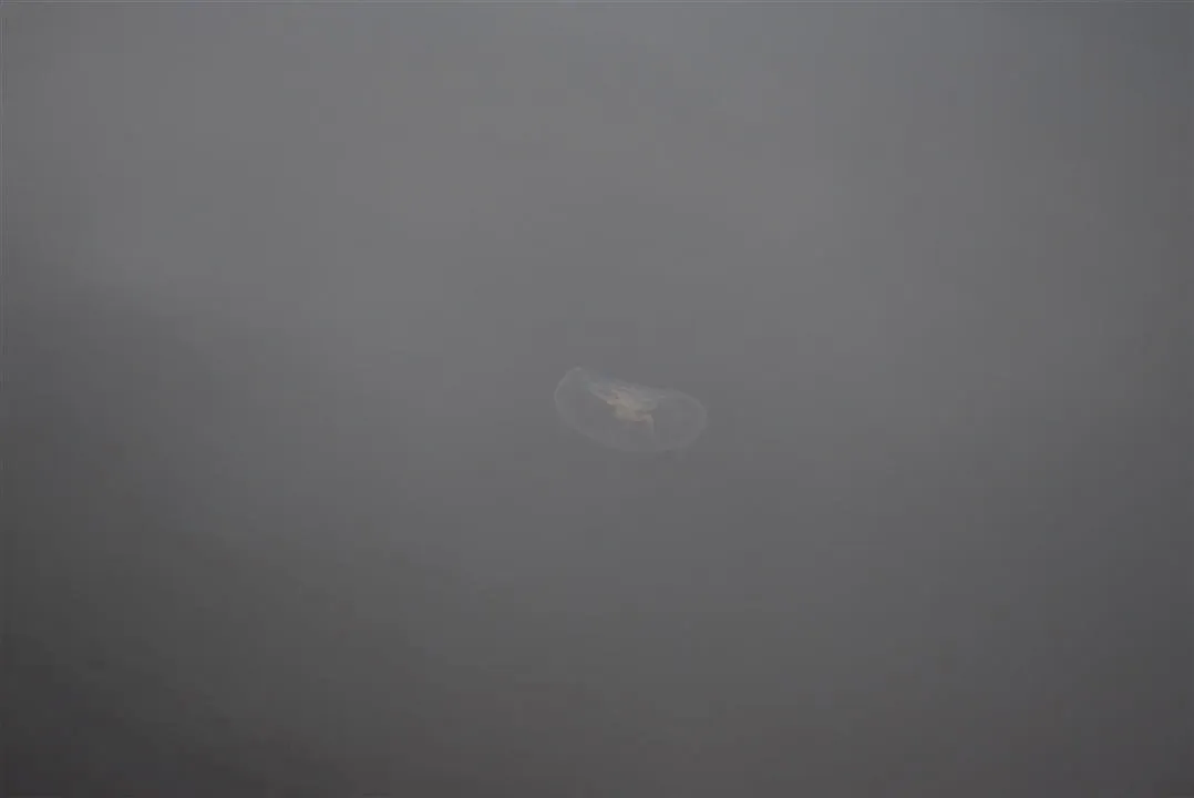 G21.3 mariager fjord ferry to hegedal   bramslev bakker fri 21 jul (12)